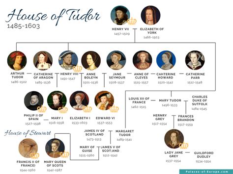 henry viii family tree